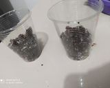Foto del paso 3 de la receta: Helado de galletas Oreo