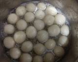 Rasgulla recipe step 13 photo