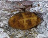 Foto del paso 6 de la receta: Codillo al horno