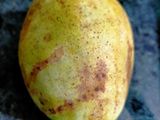 আমের চাটনি(Aamer chutney recipe in Bengali)