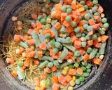 صورة لخطوة 1 من وصفة رز بالخضار ودجاج بالصلصة الحمراء