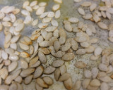 A picture of step 3 of Butternut n a hint of acorn squash soup.