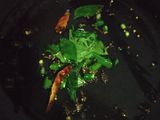 Simple Upma