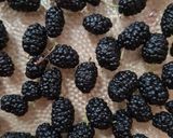 Foto del paso 1 de la receta: Budín de moras silvestres con yogur (zarzamoras)