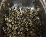 Foto del paso 1 de la receta: 🐌🐌Caracoles al horno con alioli🐌🐌