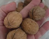 Foto del paso 1 de la receta: Higos secos tipo Smyrna pero de producción nacional 🇦🇷 con nueces de nogal, nevados con coco rallado