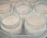 A picture of step 4 of Homemade Plain Yogurt in a Yogurt Maker.