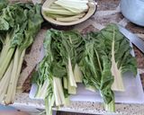 Foto del paso 1 de la receta: Arrolladitos de acelga y salsa blanca