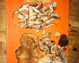 Foto del paso 2 de la receta: Paté de setas Shiitake