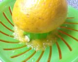 Foto del paso 1 de la receta: Helado de naranja light