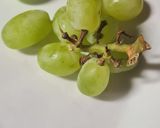 Foto del paso 3 de la receta 163. Postre de Kéfir con frutas
