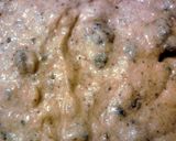 A picture of step 6 of Oreo's N Cream Banana Bread.