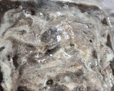 ओरियो आईस क्रीम केक (Oreo Ice Cream Cake recipe in Hindi) रेसिपी चरण 4 फोटो