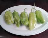 Roasted Pizza Peppers recipe step 1 photo