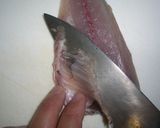 A picture of step 15 of Horse Mackerel Tartare.
