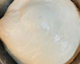 免揉櫻桃奶酪小歐包的食譜步驟3照片