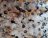 Kékáfonyás és aszalt vörösáfonyás kevert süti 🫐🫐🫐 recept fázis 5 fotója