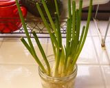A picture of step 8 of Chicken with Green Onion, Butter and Soy Sauce.