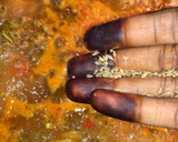 A picture of step 3 of Simple minced meat jollof rice.
