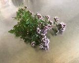 Une image de l'étape 5 de Dôme de riz au gingembre et fleurs de ciboulette.