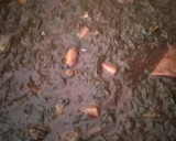 Foto del paso 8 de la receta: Romeritos
