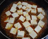 A picture of step 4 of My Mapo Tofu.