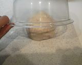 A picture of step 9 of Pain de Campagne With Lots of Walnuts.