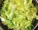 A picture of step 1 of Sweet Onion & Spring Cabbage ☆ Soup Pasta.