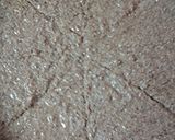 A picture of step 3 of Pecan bread.