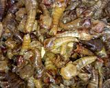 A picture of step 9 of Yanda ake soya fara.