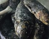 Foto langkah ke 1 dari resep Pesmol ikan mujaer ala rehan.