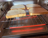 A picture of step 4 of Tyler’s BLTS.
