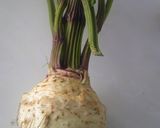 A picture of step 1 of Orange Celeriac - Turkish Homemade Cooking.