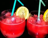 Mike's Adult Watermelon Lemonade recipe step 5 photo