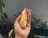 Hình bước làm 1 của món Chè bắp 😂😂😂 (món tào lao nhất của Neo)(Bắp trồng ban công, thụ phấn nhân tạo)