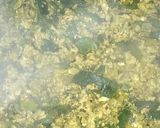 Foto del paso 3 de la receta: Zapallitos revueltos con huevo y queso