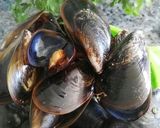 Foto del paso 2 de la receta: Mejillones en salsa picante