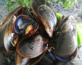 Foto del paso 2 de la receta: Mejillones en salsa picante