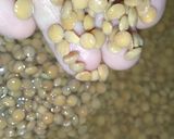 A picture of step 1 of Sabit masoor ki daal.