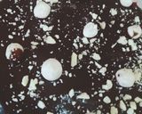 ओरियो बिस्कुट केक (Oreo Biscuit cake recipe in Hindi) रेसिपी चरण 4 फोटो
