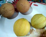 A picture of step 2 of Chikoo spicy and sweet kulfi.
