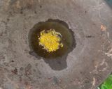 A picture of step 4 of Gongura leaves bhaji (Aabadychi bhaji).
