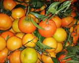 Une image de l'étape 2 de Jus clémentine🍊 carotte🥕 gingembre.