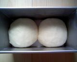 A picture of step 5 of Easy Natural Leaven Loaf.