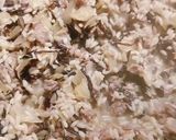 Foto del passaggio 4 della ricetta Risotto al radicchio con salsiccia e asiago