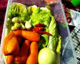 Foto langkah ke 9 dari resep Kimchi bahan lokal.