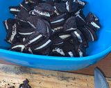 Foto del paso 2 de la receta: Torta de Oreo