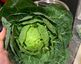 A picture of step 1 of Zesty sprout tops #cookeverypart.