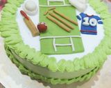 A picture of step 16 of Cricket 🏏 theme cake.