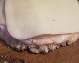 Foto del paso 2 de la receta: Cachopo de lepiota